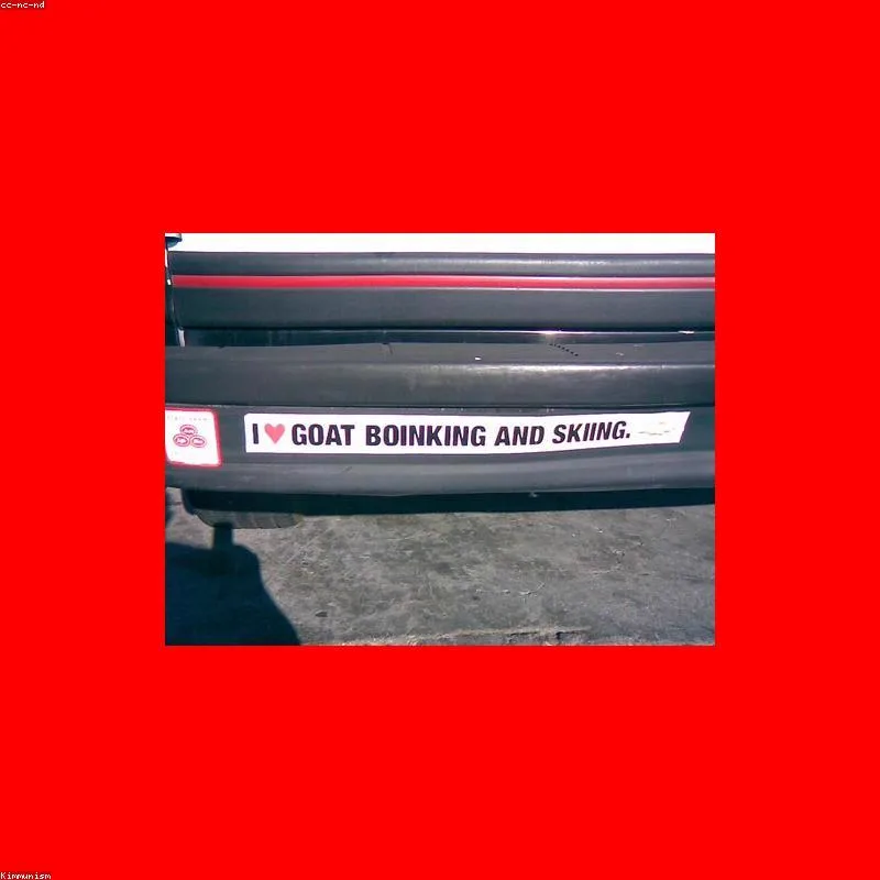 Kambing Jawa Randu kode MSP-2026-048, bobot 23 kilogram